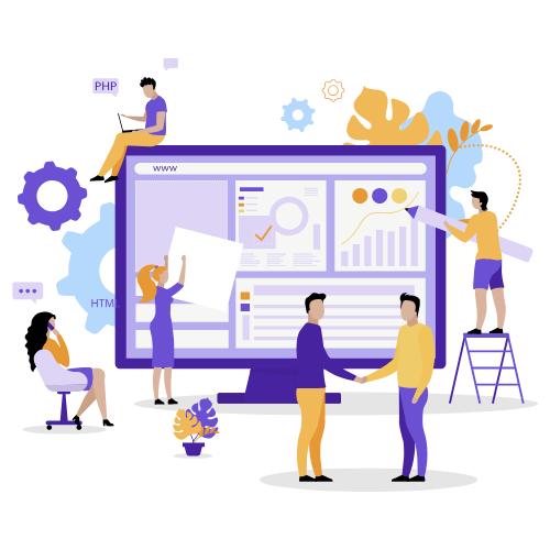Expert Team